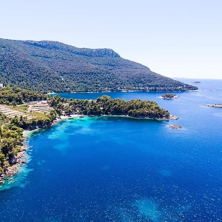 Dalmatin Uljana - 1 Апартаменты