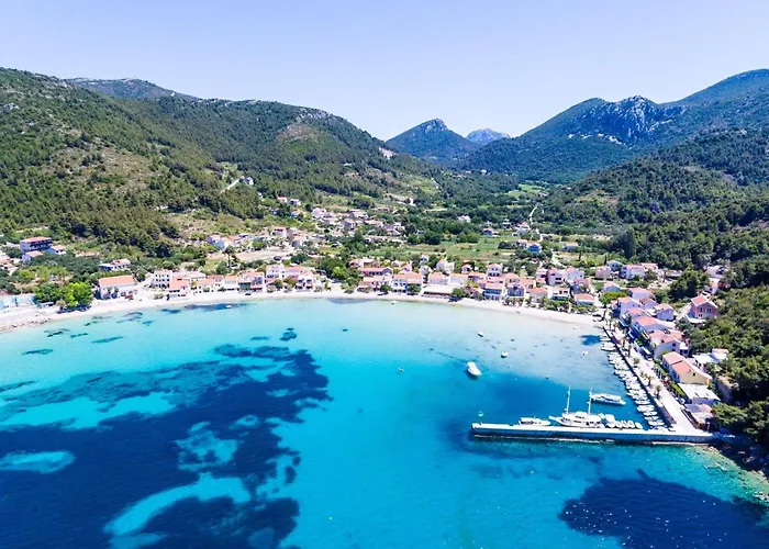 Dalmatin Uljana - 1 Žuljana