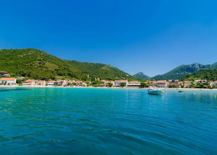 Dalmatin Uljana - 1 Žuljana