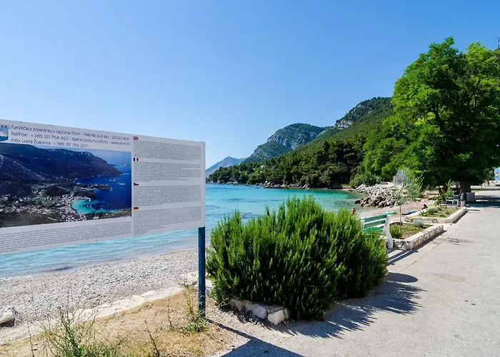 Dalmatin Uljana - 1 * Žuljana