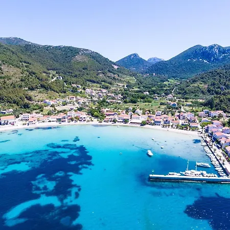 Dalmatin Uljana - 1 Žuljana