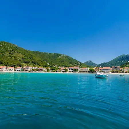 Dalmatin Uljana - 1 Žuljana