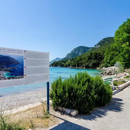 Dalmatin Uljana - 1 * Žuljana