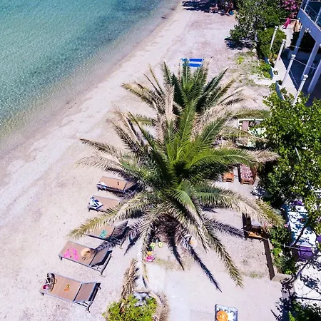 Dalmatin Uljana - 1 Daire