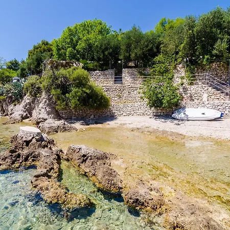 Dalmatin Uljana - 1 *