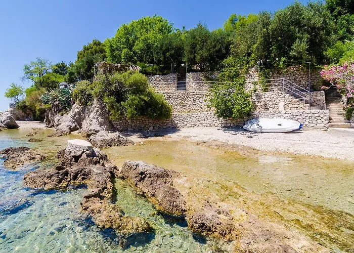 Dalmatin Uljana - 1 *